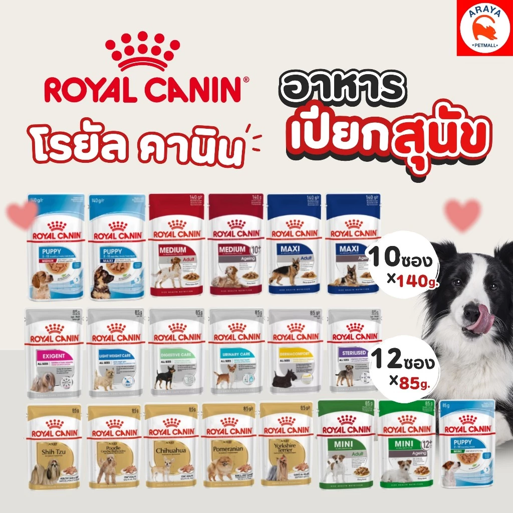 *ยกกล่อง 12ซองX 85-140g* Royal Canin อาหารสุนัขเเบบเปียก