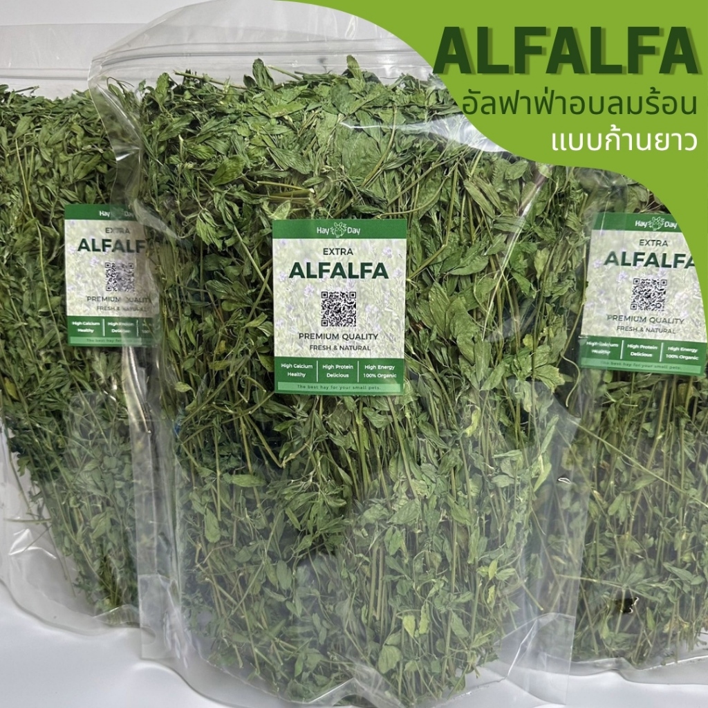 ✿หญ้าอัลฟาฟ่า✿ Alfalfa อบลมร้อน คัดพิเศษ เกรดพรีเมี่ยม สำหรับกระต่ายและสัตว์ฟันแทะทุกชนิด