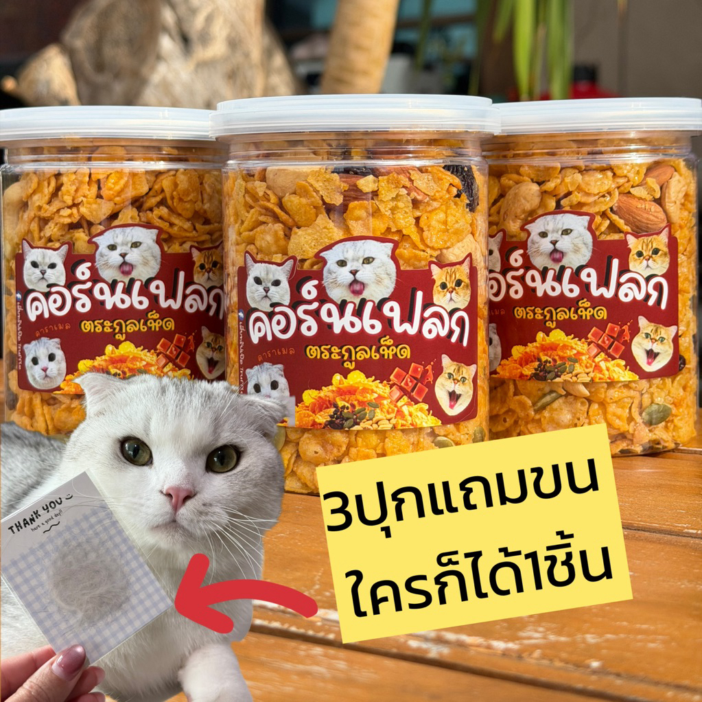 คอร์นเฟลกตระกูลเห็ด 3 กระปุก | ขนาด 500 ml/กระปุก