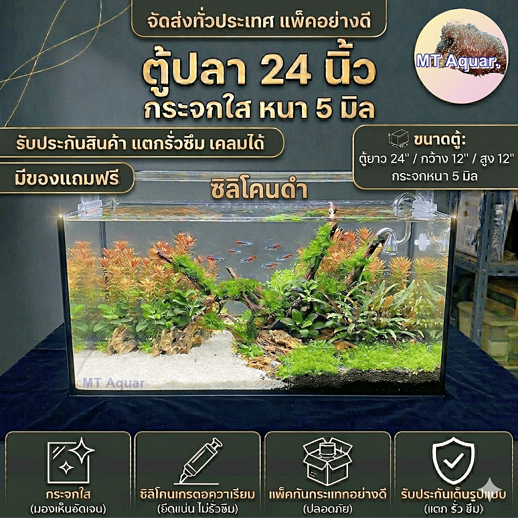 ตู้ปลา 24x12x12 นิ้ว หนา 5 มิล ตู้โล่ง ซิลิโคนดำ(เกรดสำหรับตู้ปลาโดยเฉพาะ) มีรับประกันสินค้า แตกเคลมได้