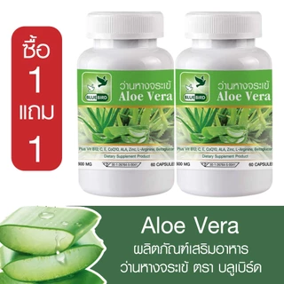 [1แถม1] ว่านหางจระเข้ Aloe Vera ตรา บลูเบิร์ด ขนาด 600 มิลลิกรัม 60 แคปซูล