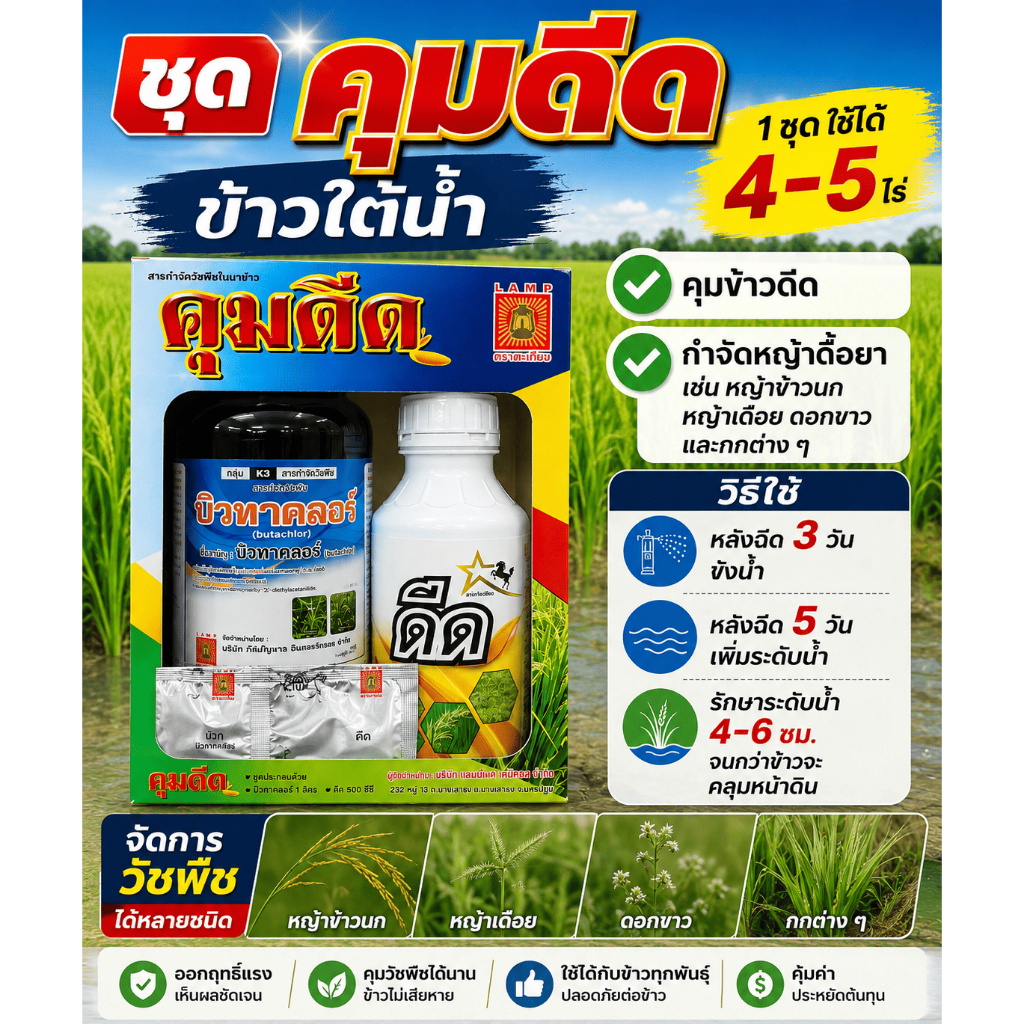 ส่งไว ชุดคุมดีด-ข้าวใต้น้ำ ท่วมข้าวไม่ตาย ข้าวดีดลดลง 50-70% เเถมยาเร่งรากช่วงให้ข้าวโตไว