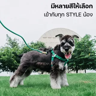 (เติมสต็อกแล้ว) Touchdog ชุดสายจูงสัตว์เลี้ยง พร้อมสายรัดอก มี8สีให้เลือก สายจูงสุนัข
