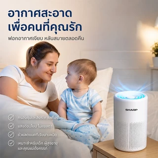เครื่องฟอกอากาศ HERA ขนาดเล็ก เสียบ USB ไอออนลบ ลดกลิ่น ลดฝุ่น เสียงเบา สำหรับห้องนอน คอนโด ออฟฟิศ รับประกัน 3 ปี
