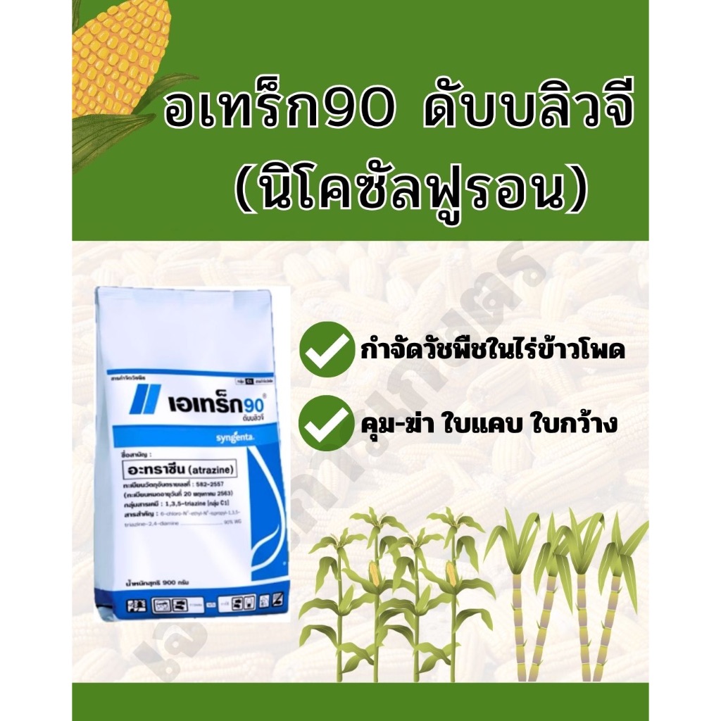 เอเทร็ก 90 ดับบลิวจี อะทราซีน สารคุมและกำจัดวัชพืช ใบกว้างและใบแคบ