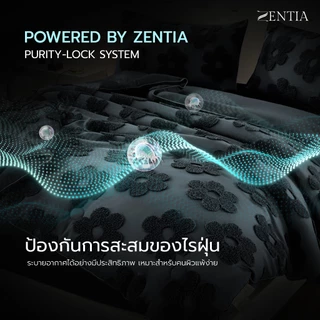 [NEW] ZENTIA ชุดผ้าปูที่นอน Cozy Blossom Collection (AeroSilk Hybrid - Cool & Cozy in One ) (ZD)