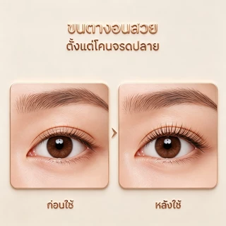 ที่ดัดขนตา Shiseido Eyelash Curler รุ่น 213 ใช้ง่าย รับกับดวงตา ช่วยให้ดัดขนตาได้งอนสวยเป็นธรรมชาติ