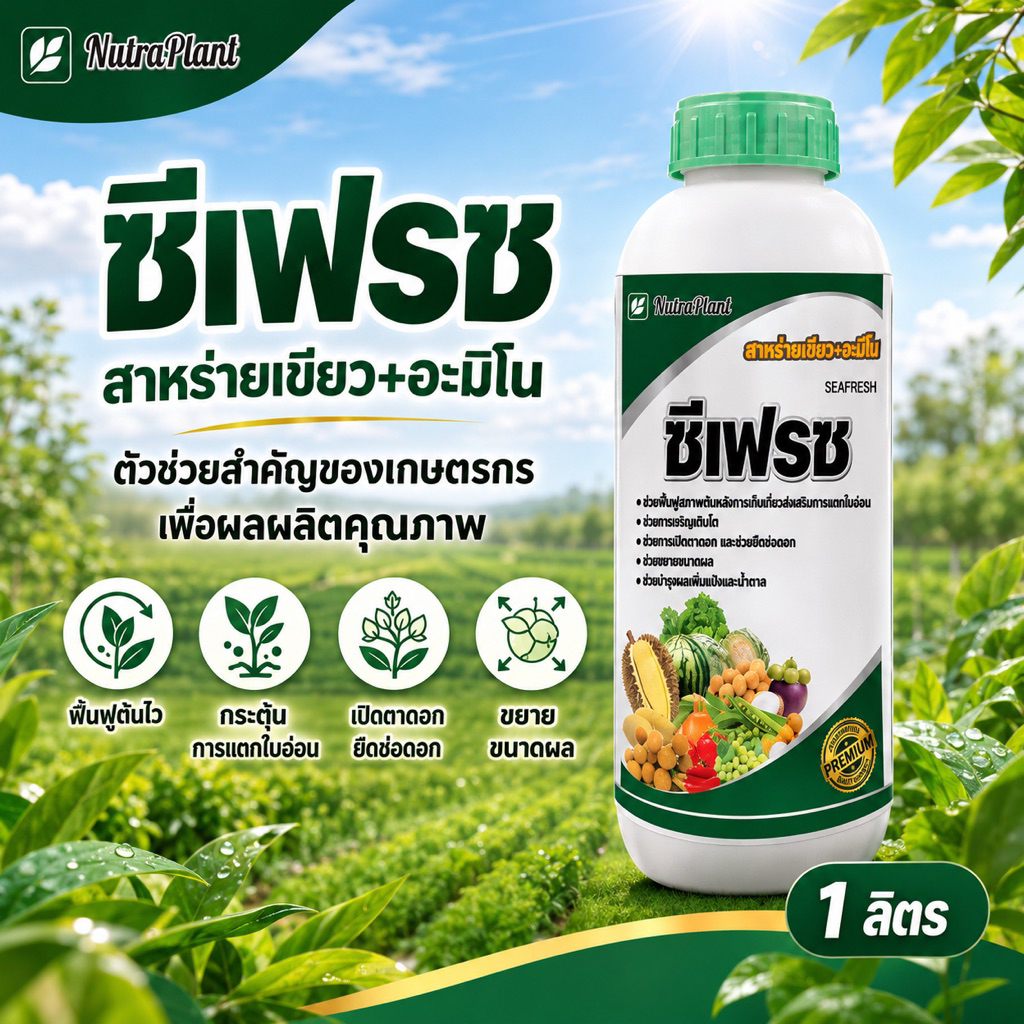 ซีเฟรซ ปุ๋ยน้ำอินทรีย์ สาหร่ายเขียว+อะมิโน 1 ลิตร ฟื้นฟูต้นหลังเก็บเกี่ยว