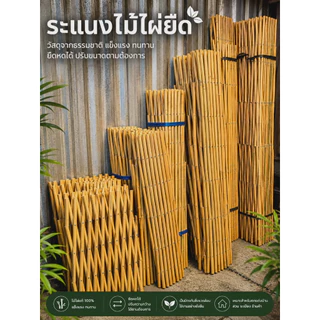 รั้วระแนงไม้ไผ่ยืด ปรับขนาดได้ตามต้องการ มีให้เลือกหลายขนาด ดูรายละเอียดขนาดก่อนสั่งซื้อ