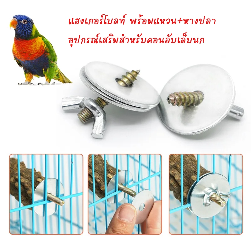 แฮงเกอร์โบลท์ พร้อมแหวน+หางปล อุปกรณ์เสริมสำหรับคอนลับเล็บนก การทำกรงแฮมสเตอร์ ขอนไม้ ชุดสกรูยึดกรงนก