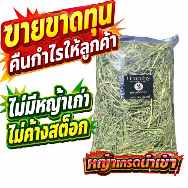 ‼️ลัคชูเส้นอ้วน มาแล้วค่ะ‼️ ทิมโมธี 4 กก Timothy คัท1 ใบเยอะ ดอกเยอะ