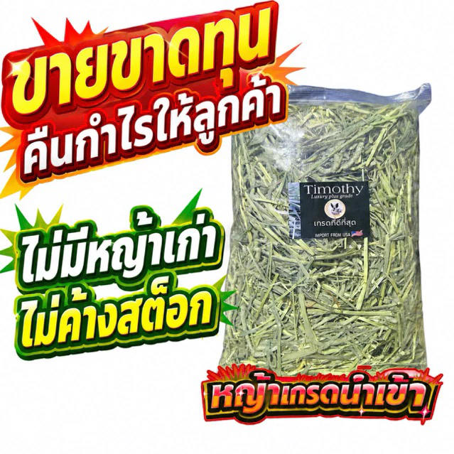 ‼️ลัคชูเส้นอ้วน มาแล้วค่ะ‼️ ทิมโมธี 4 กก Timothy คัท1 ใบเยอะ ดอกเยอะ