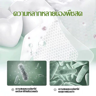 ยาสีฟัน ยาสีฟันสมุนไพร 9ชนิด มีฟลูออไรด์ ลดกลิ่นปาก ป้องกันฟันผุ สูตรสมุนไพร 100กรัม Toothpastes