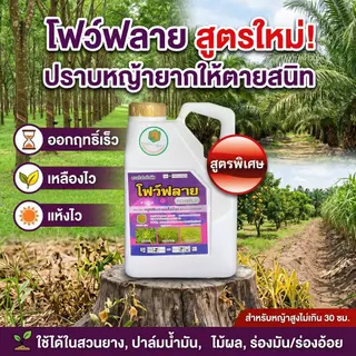 โฟว์ฟลาย กลูโฟซิเนต-แอมโมเนียม สูตรพิเศษ ขนาด 4 ลิตร กำจัดวัชพืชทุกชนิด ปลอดภัยต่อพืช