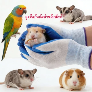 ถุงมือกันกัดสำหรับสัตว์เลี้ยง กระรอก ชูก้า ชินชิล่า หนู แฮมเตอร์ เม่น นกแก้ว ถุงมือจับนก ถุงมือยางกันกัด