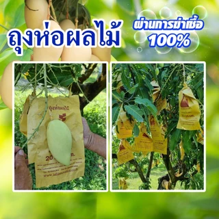 ถุงกระดาษคาร์บอนห่อผลไม้ ชุนฟง ขนาด 100 ใบ ถุงห่อมะม่วง ถุงคาร์บอน ทีเอบี ป้องกันแมลงวันทอง