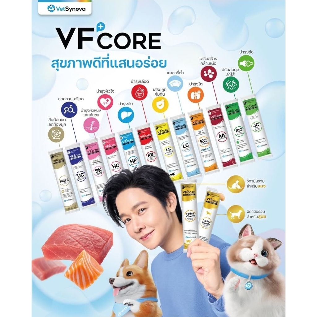 ( 10 ซอง ) VF core Lysine มาในรูปแบบคล้ายขนมแมวเลีย เสริมภูมิคุ้มกัน อร่อย กินง่าย เหมียวชอบ
