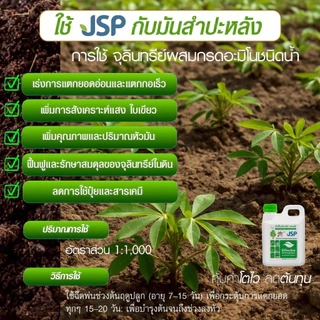 JSP EM หัวเชื้อจุลินทรีย์เข้มข้น ขนาด 1 ลิตร ช่วยฟื้นฟูดิน บำรุงต้น บำรุงราก บำรุงใบ เพิ่มผลผลิต