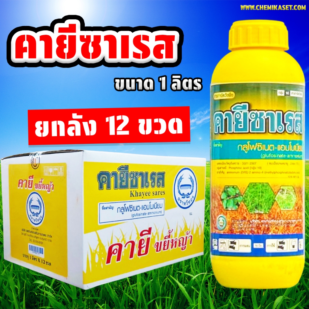 (ยกลัง 12 ขวด) คายีซาเรส 1 ลิตร กลูโฟซิเนตแอมโมเนียม สารกำจัดหญ้าทุกชนิด ตราหวีทอง ของแท้ พร้อมส่ง