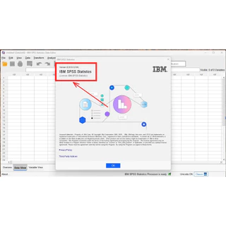IBM SPSS Statistics 32 [รองรับ OS 26] โปรแกรมวิเคราะห์ข้อมูลทางสถิติ สำหรับ Windows และ Mac
