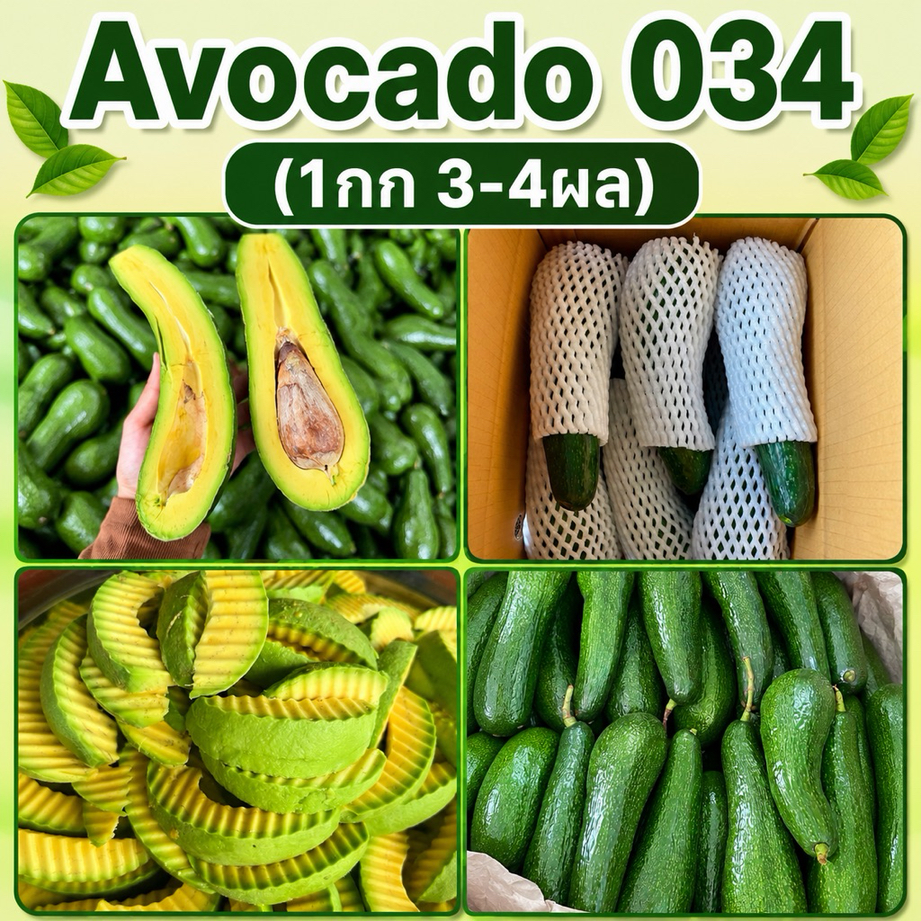 1กิโลอโวคาโด้034 ไซส์2-4ลูกโล(เก็บสดตามออเดอร์)แก่จัดผิวติดลายแก่