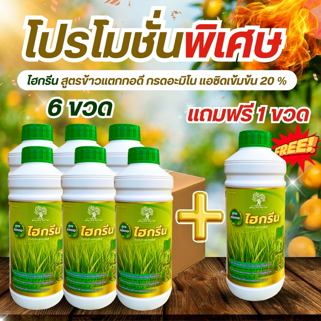 ชุดพิเศษโปร 6 เเถม 1 ไฮกรีน สำหรับข้าวเเตกกอ ขนาด 1 ลิตร เเตกกอไว ใบเขียวเข้มใหญ่ ออกรวงสุด เเตกรากเยอะ ทนต่อสภาพอากาศ