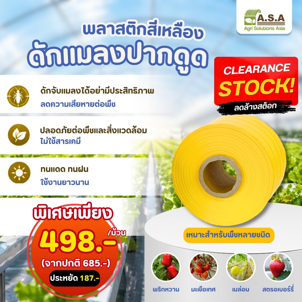 พลาสติกสีเหลือง สำหรับแมลงปากดูด โปรล้างสต็อก