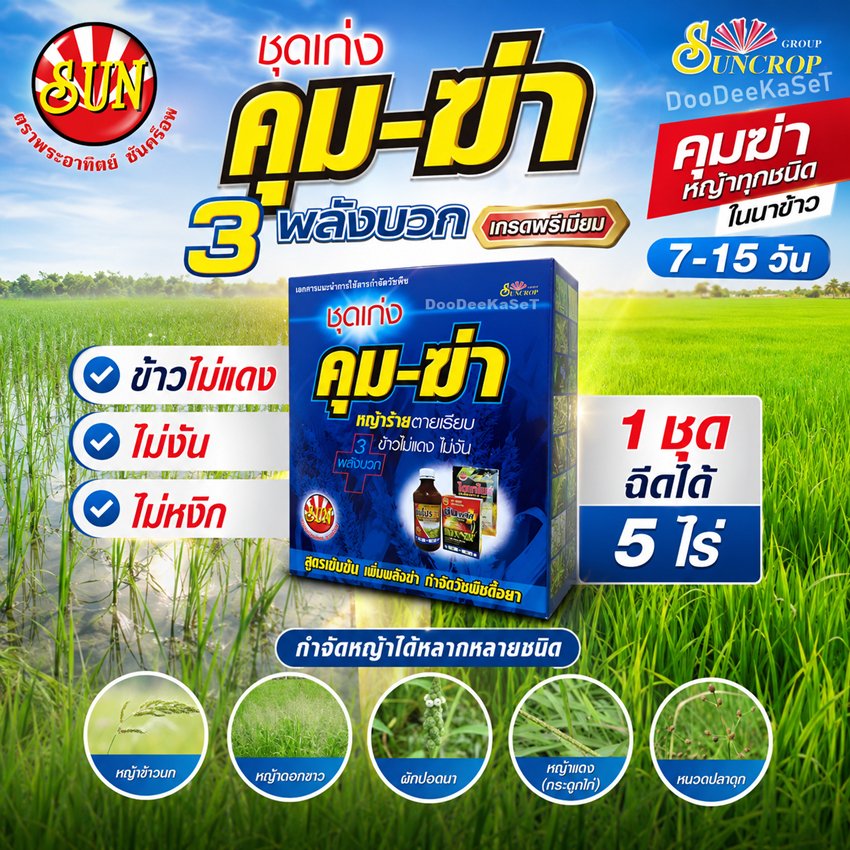 ชุดเก่ง 3 พลังบวด คุม-ฆ่า หญ้าในนาข้าว 7-20 วัน 3พลังบวก  กำจัดวัชพืชทั้งใบแคบและใบกว้าง ไม่เหลือ