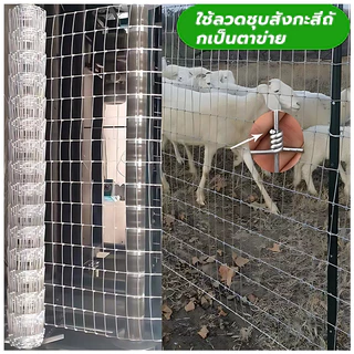ส่งฟรี🚚 รั้วตาข่ายถักปม รั้วถักปม ลวดตาข่ายถักปม รั้วตาข่ายแรงดึง ยาว30m/50m ลวดล้อมไร่สวน ลวดล้อมคอกสัตว์ วัวแพะไก่