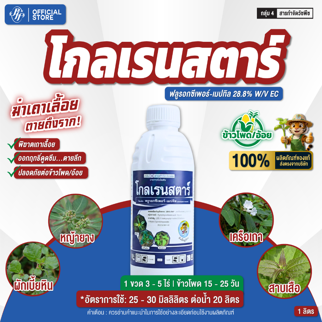 โกลเรนสตาร์ 1 ลิตร ฟลูออร์ซีเพอร์ เก่งหญ้าเครือเถา หญ้าใบกว้าง ปลอดภัยกับข้าวโพดและอ้อย หัวเสือ
