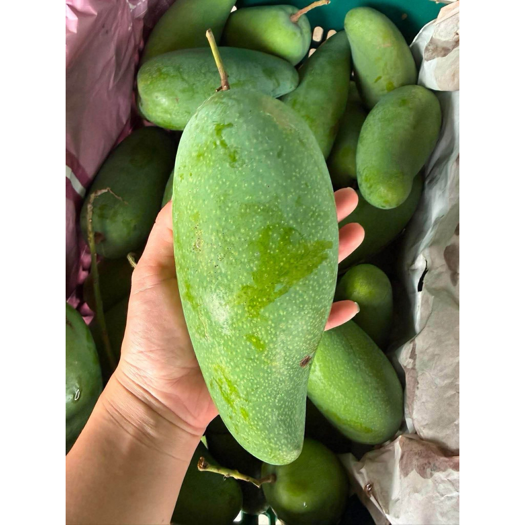 มะม่วงมันขุนศรี 3กิโลกรัม🥭หวาน มันกรอบ  ✔️หอมมากๆ  อร่อย