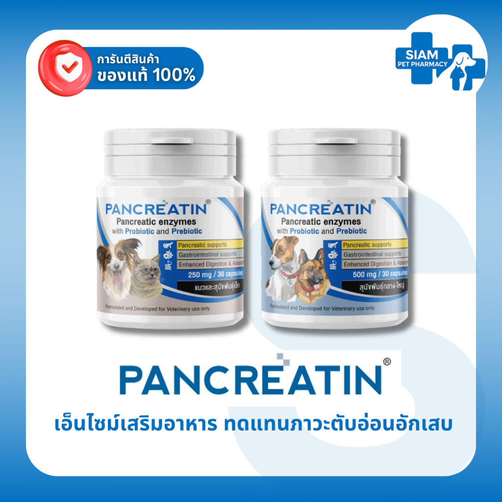Pancreatin แพนครีเอทิน ผลิตภัณฑ์เอ็นไซม์เสริมอาหาร สำหรับสุนัขและแมวที่มีภาวะตับอ่อนอักเสบ 30 แคปซูล
