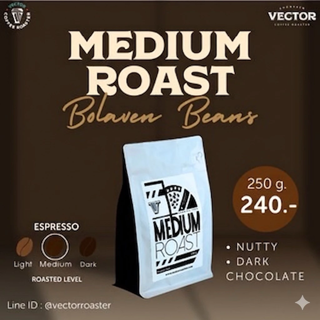 VECTOR : เมล็ดกาแฟคั่วกลาง (อราบิก้า 100% จากโบโลเวน เกรดพรีเมี่ยม) 250 กรัม