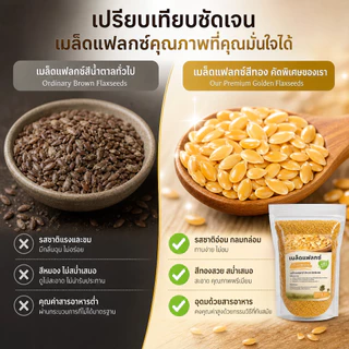 เมล็ดแฟลกซ์สีทอง (Golden Flax Seeds) ออร์แกนิคแท้ คัดพิเศษ โอเมก้า 3 สูง ไฟเบอร์แน่น โปรตีนพืช