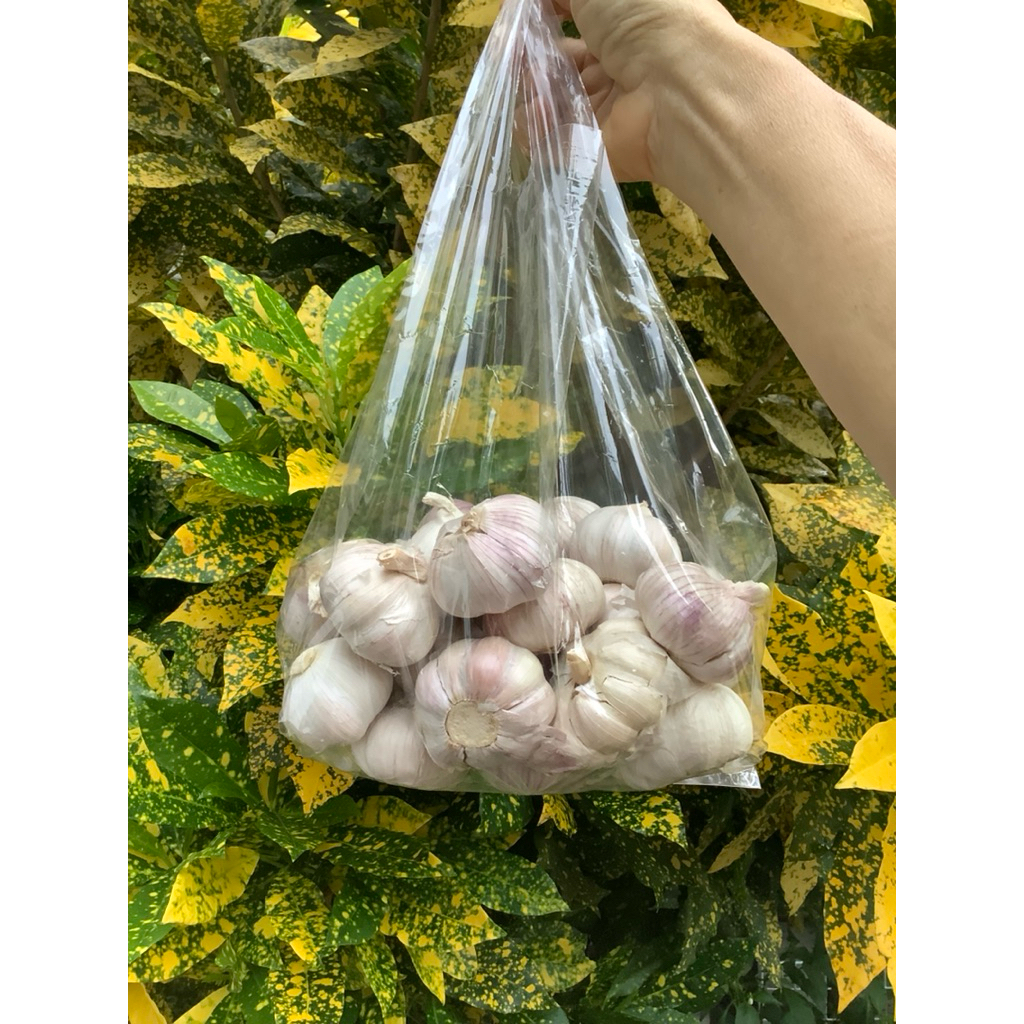 🧄กระเทียมจีนกลีบใหญ่เต็มหัว🧄เนื้อแน่นไม่มีราไม่ฝ่อสดสะอาด🧄คัดสรรคุณภาพปลอดภัย