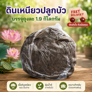 ดินบัว ดินปลูกบัว ดินเหนียวปลูก | ก้อนละ 1.9–2 กก. จัดส่งทุกวัน ( ดินบัว1ก้อน )