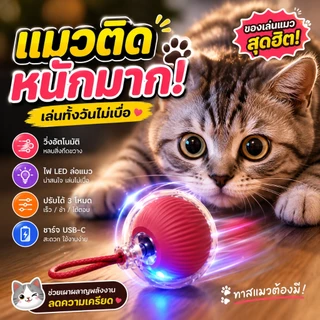 【พร้อมส่ง】ลูกบอลแมวอัจฉริยะ ของเล่นแมวไฟฟ้า วิ่งอัตโนมัติ USB Type-C ลูกบอลแมวอินเตอร์แอคทีฟ แมวเล่นเองได้ทั้งวัน
