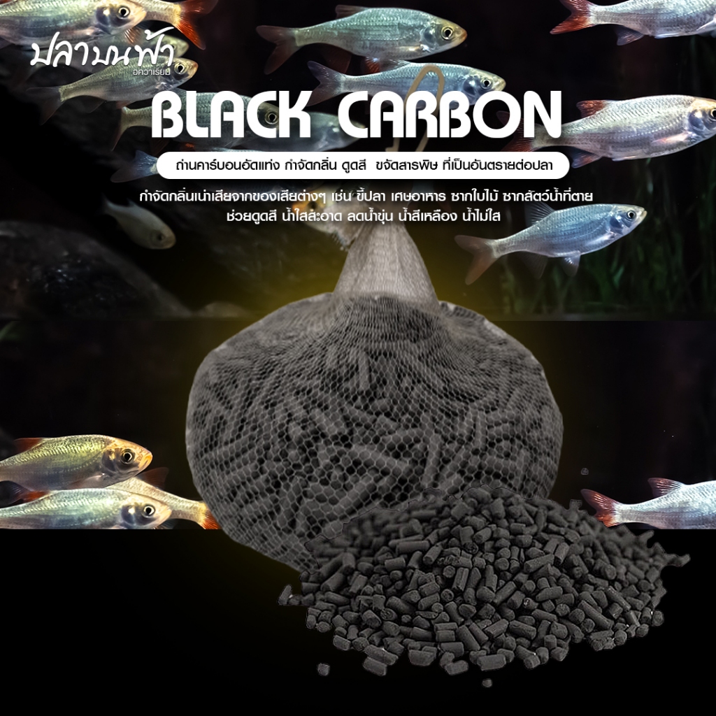 Carbon คาร์บอนอัดแท่ง 1000 กรัม พร้อมถุงตาข่าย ช่วยลดกลิ่นไม่พึงประสงค์ สามารถดูดซับคลอรีน สารเคมีต่างๆ