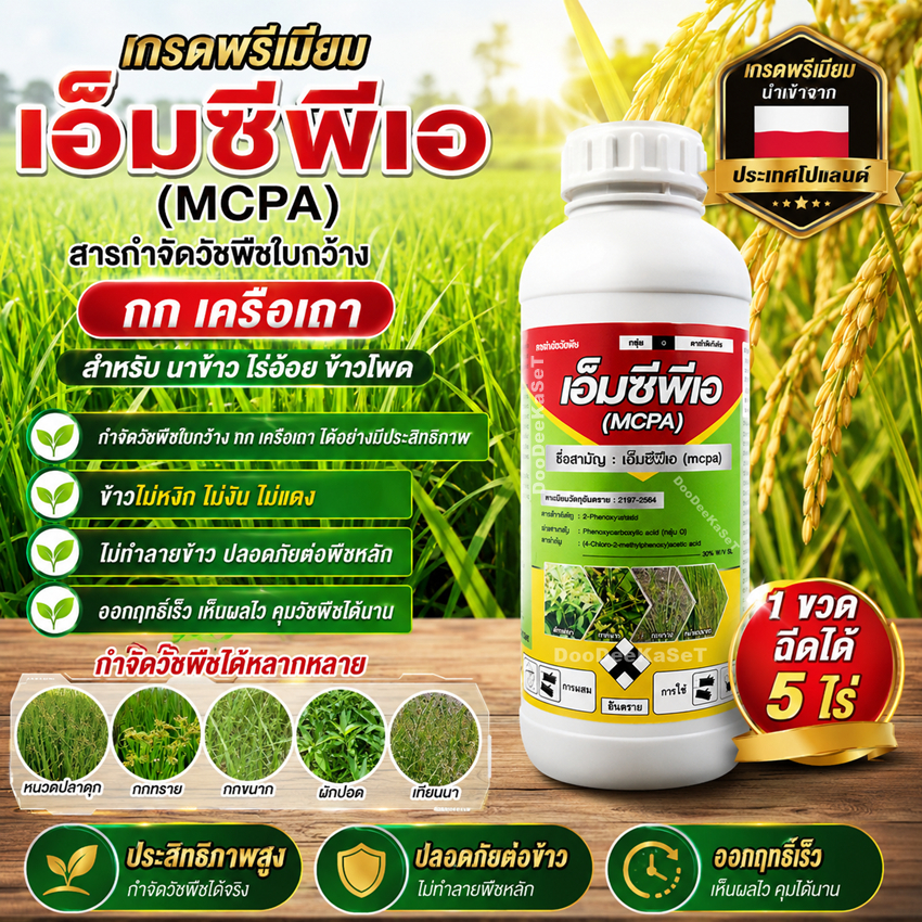 MCPA เอ็มซีพีเอ 1 ลิตร จากโปรแลนด์ กำจัดวัชพืชประเภท กก ใบกว้าง เช่น หนวดปลาดุก กกทราย เทียนนา ผักผอด ในนาข้าว