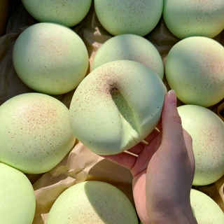 ขนมปังนุ่มเหมือนจริง โมจิรสสตรอว์เบอร์รี/แคนตาลูป และของเล่นบีบคลายเครียด นุ่มนิ่มน่ารัก