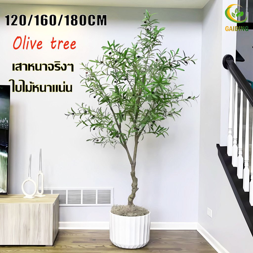 GAIDING-【ส่งจากกทม.24ชม.】120/150/180cm ต้นไม้ปลอม ต้นโอลีฟ ต้นไม้ปลอมใหญ่ สไตล์นอร์ดิกอิน ไม่ต้องบำรุงรักษา