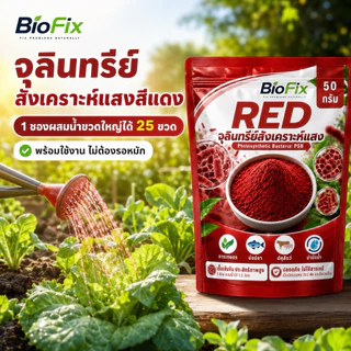 BioFix Red จุลินทรีย์สังเคราะห์แสงสีแดง PSB 50g. ใช้ได้เลยไม่ต้องรอข้ามคืน