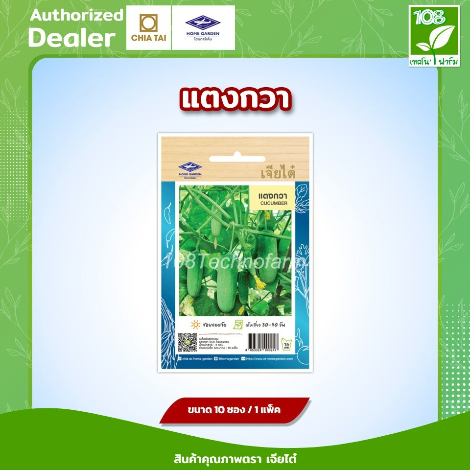 ผักซอง เมล็ดพันธุ์ แตงกวา ตราเจียไต๋
