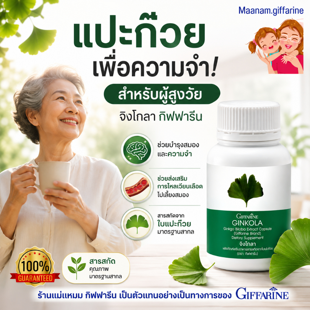 ใบแปะก๊วยแคปซูล วิตามินบำรุงสมอง กิฟฟารีน ความจำ ผู้สูงวัย ginkgo biloba giffarine เลือดไหลเวียนดี