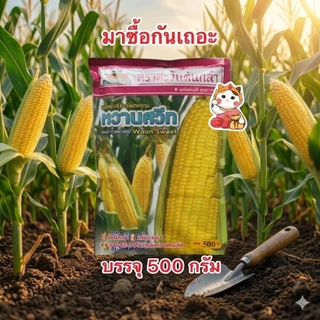 หวานสวีท ข้าวโพดหวาน ตราตะวันต้นกล้า(สิ้นอายุ04/70) บรรจุ500กรัม/ซอง