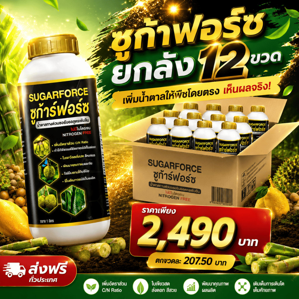 ซูก้าฟอร์ช (ยกลัง12ขวด) น้ำตาลทางด่วน ซอร์บิทอล น้ำตาลโมเลกุลเดี่ยวหยุดใบอ่อน ลดหลุดร่วง หวาน 1ลิตร