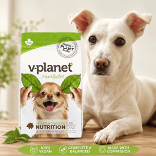 V-Planet อาหารสุนัขเม็ด สูตรเจ วีแกน 100% ทำจากพืช Plant-Based โปรตีนจากพืชไม่มีเนื้อสัตว์ 6.8kg