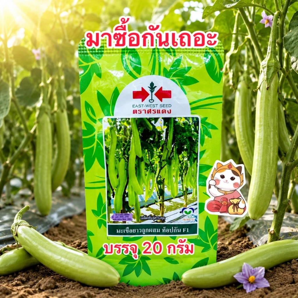 ท็อปกัน เมล็ดพันธุ์มะเขือยาว ตราศรแดง (สิ้นอายุ01/71) บรรจุ20กรัม/ซอง