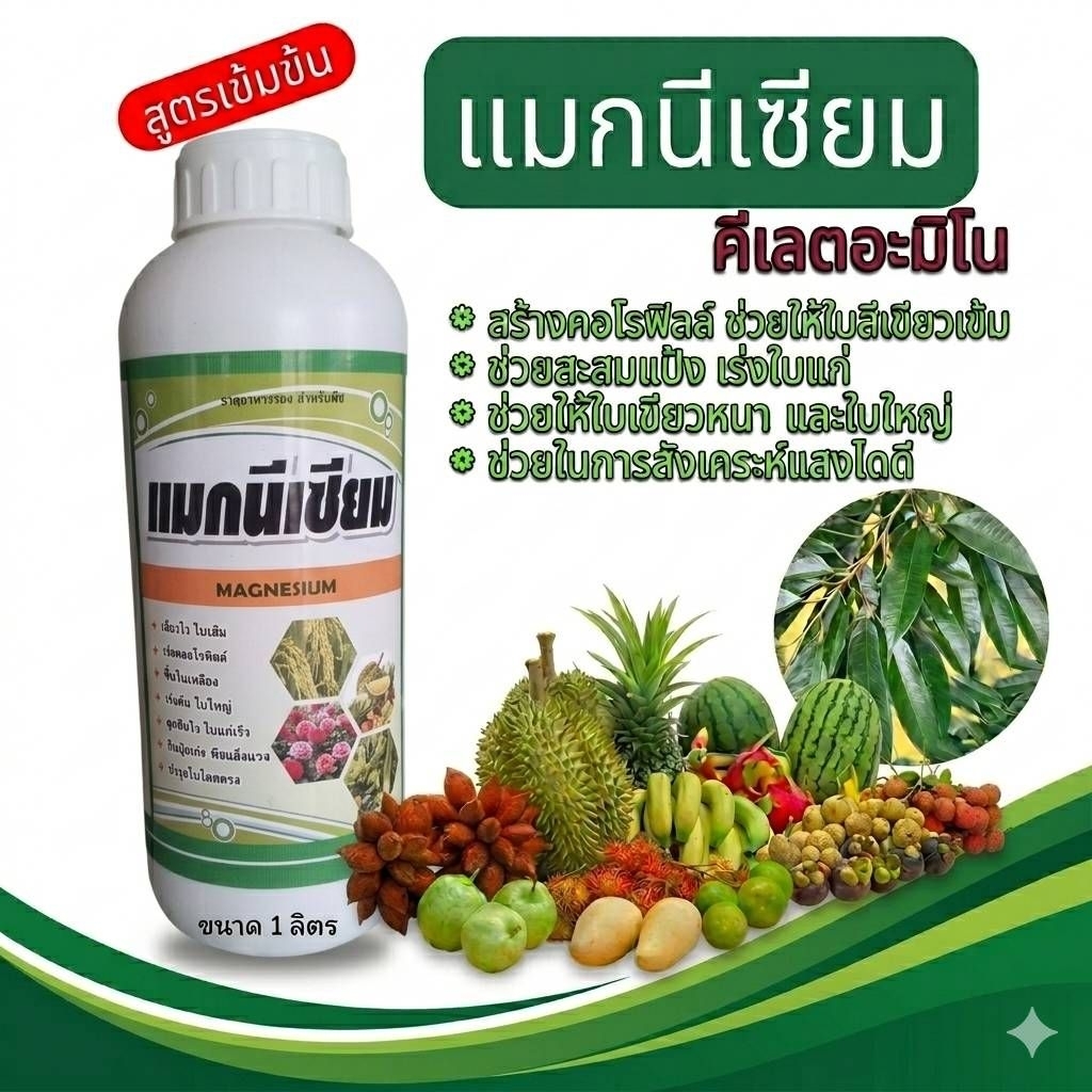 แมกนีเซียม คีเลตอะมิโน สูตรเข้มข้น ช่วยเสริมสร้างคลอโรฟิลล์ในพืช