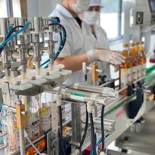 🌳น้ำผึ้งเกสรดอกไม้ป่าเดือน5แท้ 🐝🍯ตรา ภูผาผึ้ง 🌳🍯ชุด 3 ขวด🍯🌳